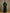 Zeenat Emerald Embroidered Abaya